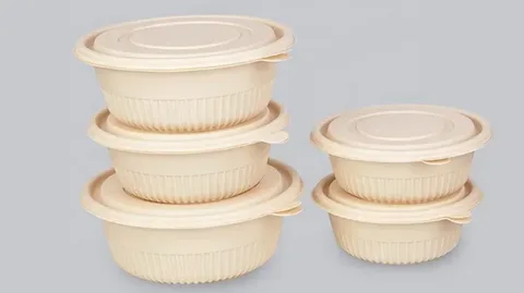 کاسه یکبار مصرف گیاهی جایگزین عالی ظروف پلاستیکی